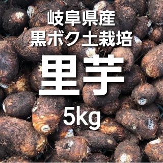 11 岐阜県産 無農薬 ねっとり 里芋 5kg 土付き 堀り立て発送！(野菜)