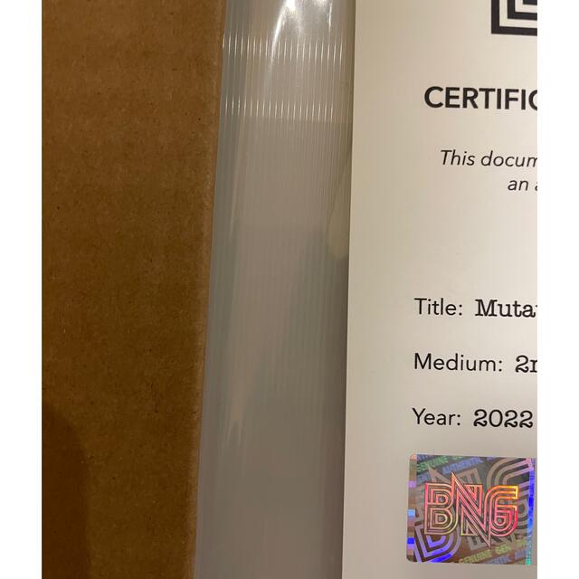 BAYC Mutation 492 - 3D Lenticular Print エンタメ/ホビーのアート用品(パネル)の商品写真