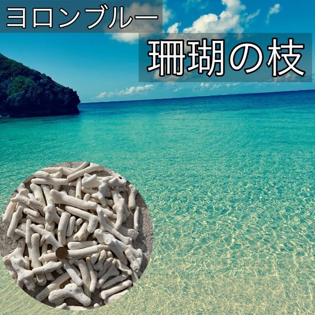 珊瑚 天然コーラル ホワイトサンゴ 枝 (約10mm〜25mm)約1kg ハンドメイドの素材/材料(各種パーツ)の商品写真