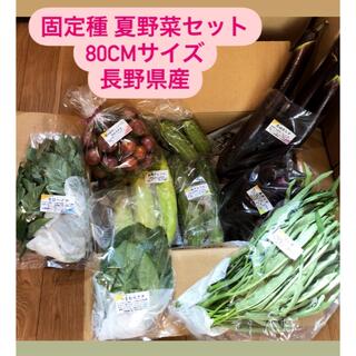 無農薬&固定種野菜セット★80cmサイズ★長野県産(野菜)