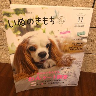 ベネッセ(Benesse)のいぬのきもち　2022.11月号(専門誌)