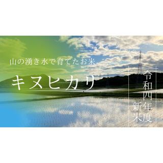 農家直送 令和四年度 山の湧き水育ち 兵庫県産キヌヒカリ 10kg(米/穀物)