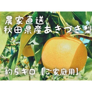 (18玉あきづき梨)約5kg訳ありご家庭用★送料込★秋田県産(フルーツ)