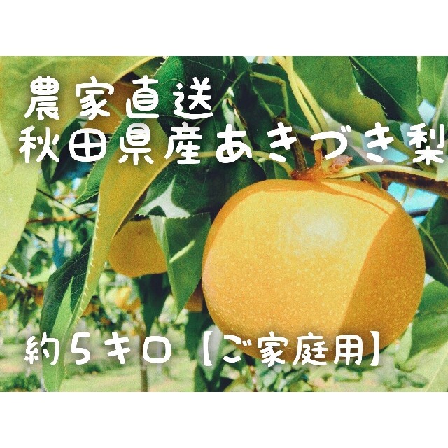 (14玉あきづき梨)約5kg訳ありご家庭用★送料込★秋田県産 食品/飲料/酒の食品(フルーツ)の商品写真