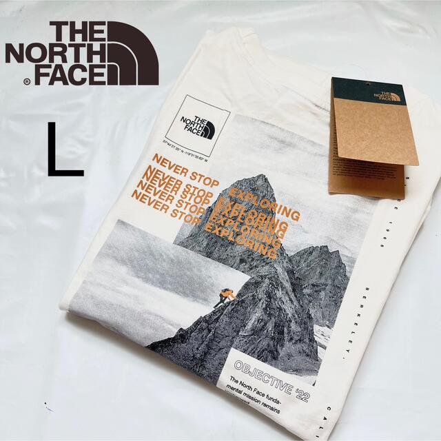 THE NORTH FACE(ザノースフェイス)のノースフェイス メンズ 長袖 ロンT トレーナー Tシャツ ロゴプリント L メンズのトップス(Tシャツ/カットソー(七分/長袖))の商品写真