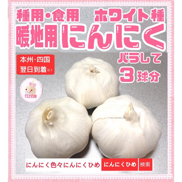 種ニンニク　暖地用ホワイト種　食用兼用　3球をバラシてネコポス送料込　即日出荷 食品/飲料/酒の食品(野菜)の商品写真