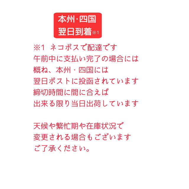 種ニンニク　暖地用ホワイト種　食用兼用　3球をバラシてネコポス送料込　即日出荷 食品/飲料/酒の食品(野菜)の商品写真