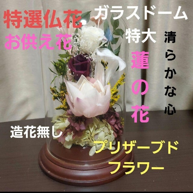 特選仏花　お供え花　蓮の花　清らかな心　ガラスドーム特大　プリザーブドフラワー