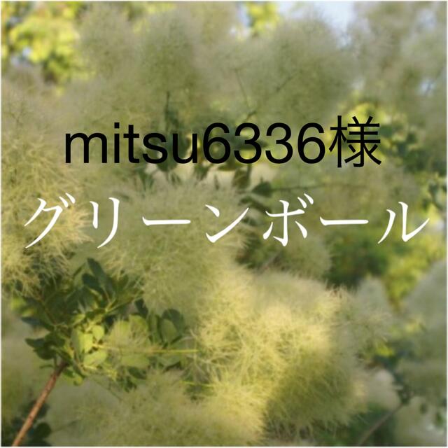 mitsu6336様専用　グリーンボール  ハンドメイドのフラワー/ガーデン(ドライフラワー)の商品写真