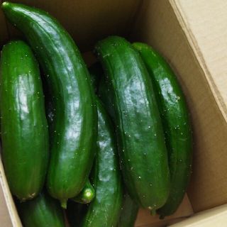 シマちゃん様専用(野菜)