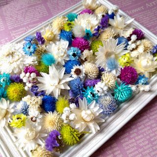 染めドライフラワー♥White＆Blue　お買い得アソートBOX　花材８０個(ドライフラワー)