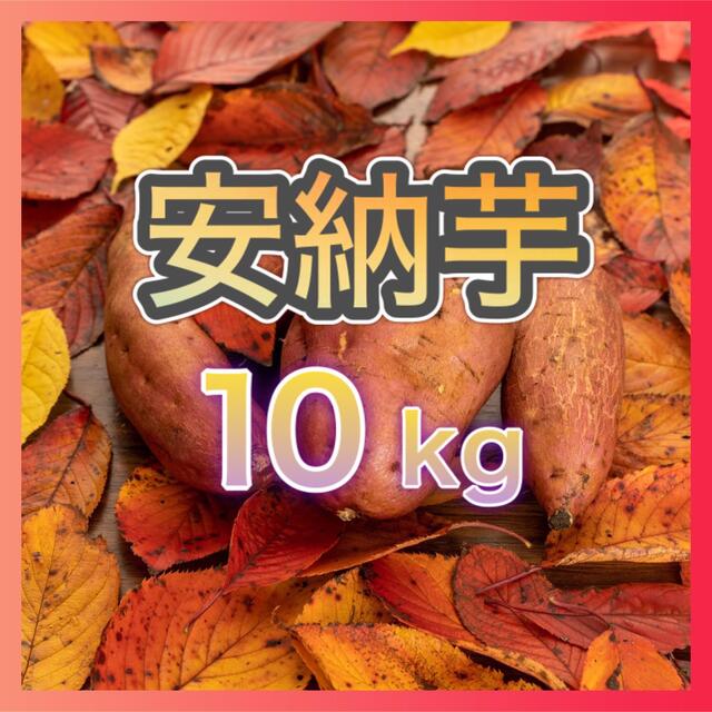 さつまいも【安納芋】10kg 食品/飲料/酒の食品(野菜)の商品写真