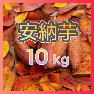 さつまいも【安納芋】10kg(野菜)