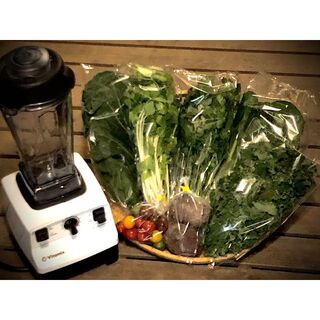 野菜ソムリエ推奨！免疫力を高めるスムージーにおすすめの新鮮野菜8品詰合せ(野菜)