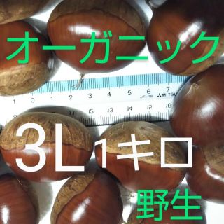 オーガニック(無農薬無肥料)野生生栗3L1キロ以上(フルーツ)