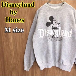 ディズニー(Disney)の【Disneyland×Hanes】ビッグプリントロゴ 長袖 スウェット(スウェット)