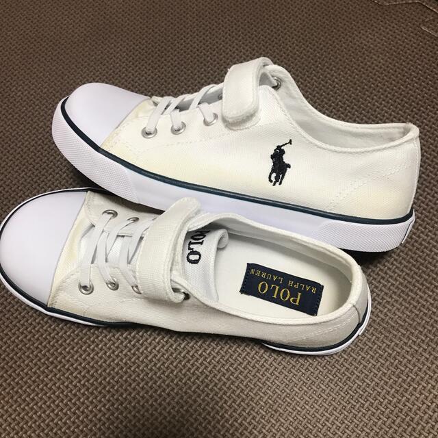 POLO RALPH LAUREN(ポロラルフローレン)のPOLO スニーカー20㎝未使用品　難あり キッズ/ベビー/マタニティのキッズ靴/シューズ(15cm~)(スニーカー)の商品写真