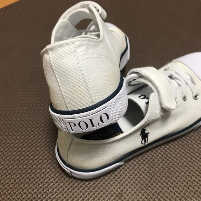 POLO RALPH LAUREN(ポロラルフローレン)のPOLO スニーカー20㎝未使用品　難あり キッズ/ベビー/マタニティのキッズ靴/シューズ(15cm~)(スニーカー)の商品写真