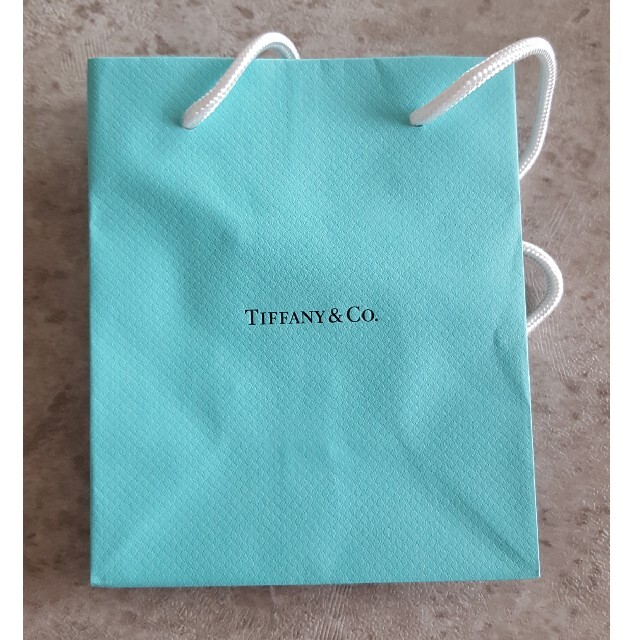 Tiffany & Co.(ティファニー)のティファニー　紙袋&カタログ レディースのバッグ(ショップ袋)の商品写真
