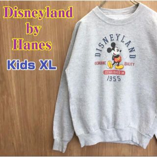 ディズニー(Disney)の【Disneyland×Hanes】ビッグプリントロゴ 長袖 スウェット　(トレーナー/スウェット)