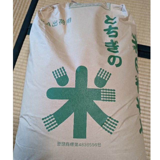 コシヒカリ　25kg 玄米　栃木県産　令和3年食品