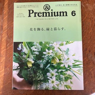 &Premium (アンド プレミアム) 2022年 06月号(その他)