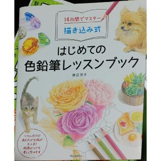 １４日間でマスター描き込み式はじめての色鉛筆レッスンブック(絵本/児童書)