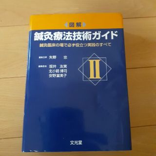 図解鍼灸療法技術ガイド 鍼灸臨床の場で必ず役立つ実践のすべて ２(健康/医学)