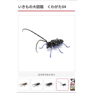 バンダイ(BANDAI)のいきもの大図鑑 クワガタ 04 ゴマダラカミキリ(その他)