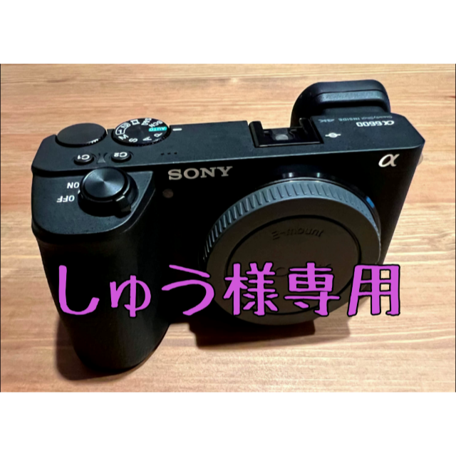 SONY α6600 ILCE-6600 ボディのみ 美品 | hartwellspremium.com