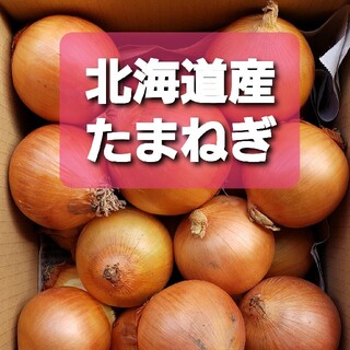 ◆北海道産　玉ねぎ　Lサイズ　約１０キロ(野菜)