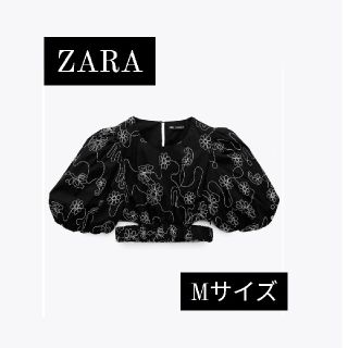 ザラ(ZARA)のZARA 未使用品　トップス(その他)