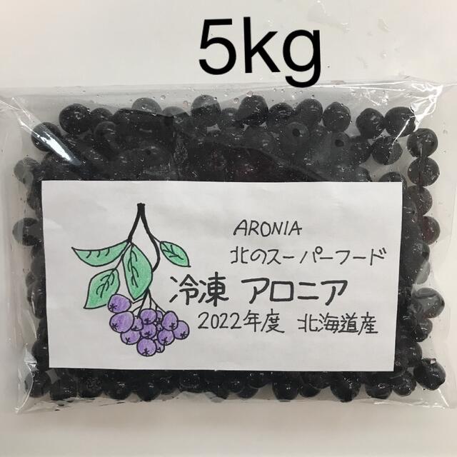 北海道産アロニア冷凍果実 5kg