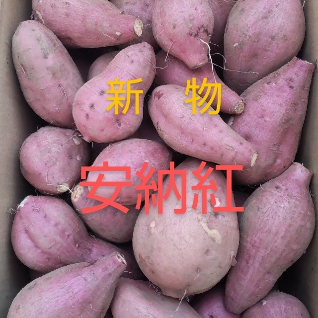 種子島産安納紅ﾐﾆ〜2Sサイズ混合10キロ 食品/飲料/酒の食品(野菜)の商品写真