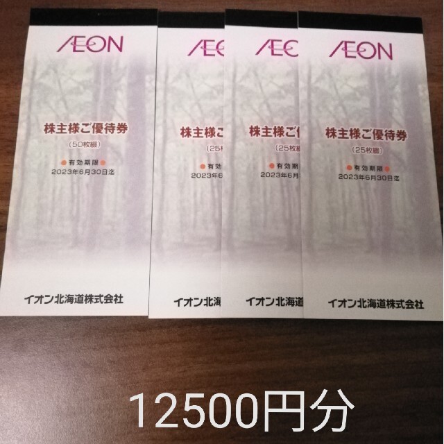 イオン北海道 株主優待 12500円分 優待券/割引券 優待券/割引券