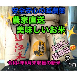 令和3年新米 自然栽培米 玄米10kg×2 農薬肥料不使用 コシヒカリ opal.bo