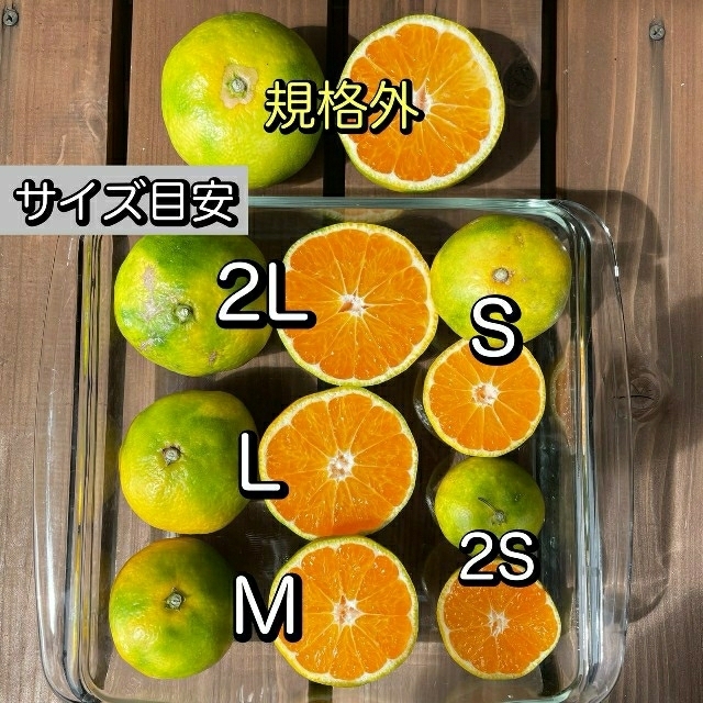 豊福 家庭、ジュース用4kg 食品/飲料/酒の食品(フルーツ)の商品写真
