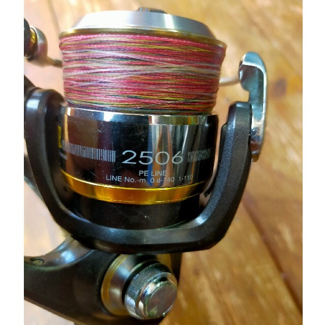 DAIWA(ダイワ)のダイワE-GEE2506 スポーツ/アウトドアのフィッシング(釣り糸/ライン)の商品写真