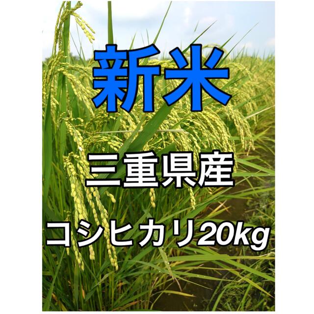 新米 お米 令和４年  三重県産 コシヒカリ 白米２０kg【一等米】一等米