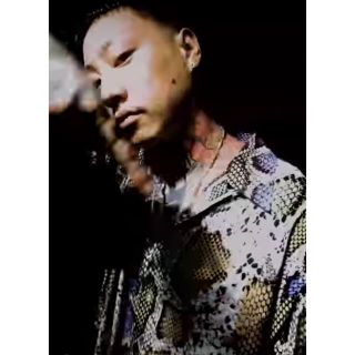 WACKO MARIA - XSサイズ wackomaria パイソン柄 長袖 アロハシャツの