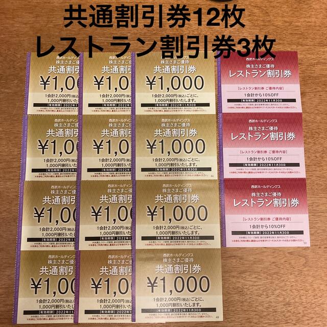 西武ホールディングス 共通割引券12枚 西武ホールディングス 共通割引券12枚