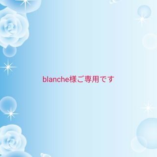 サマンサモスモス(SM2)の☆blanche様ご専用です☆(ロングワンピース/マキシワンピース)