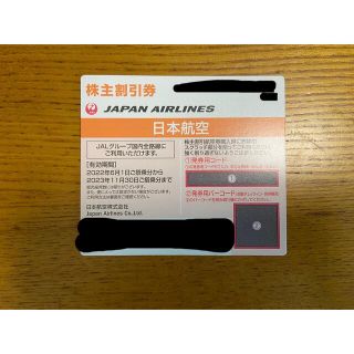 ジャル(ニホンコウクウ)(JAL(日本航空))のJAL 株主優待(その他)