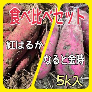 サツマイモ‼️食べ比べセット‼️べにはるかとなると金時❗️(野菜)