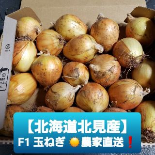 北海道 北見産 ミニ 新玉ねぎ ◎農家直送(野菜)