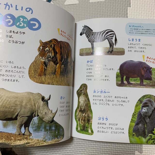 ３歳のえほん百科 改訂版 エンタメ/ホビーの本(絵本/児童書)の商品写真