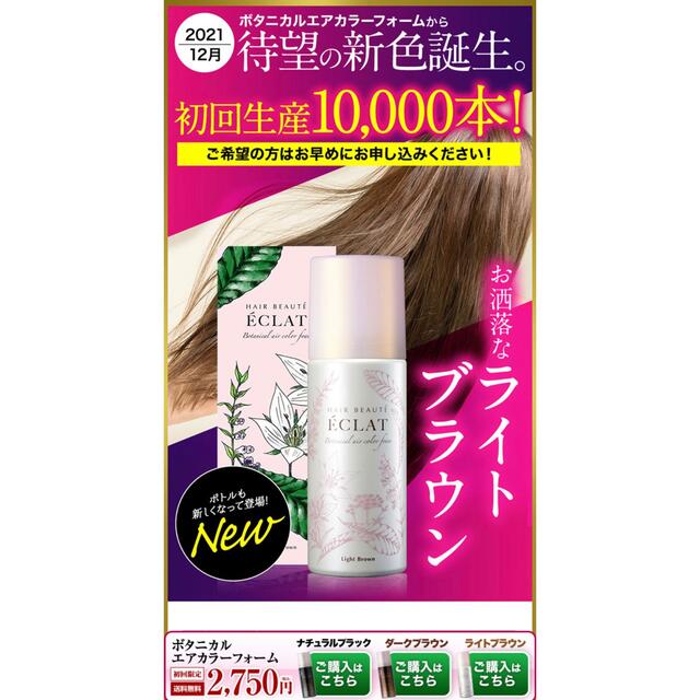 白髪染 ヘアボーテ エクラ ボタニカル エアカラーフォーム80g ライトブラウンの通販 by 亞好♪ako♪'s shop|ラクマ 白髪染 ヘアボーテ エクラ ボタニカル エアカラーフォーム80g ライトブラウンの通販 by 亞好♪ako♪'s shop|ラクマ