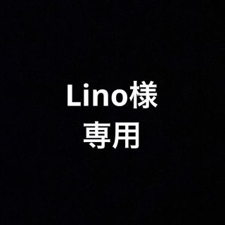 バービー(Barbie)のLino様　専用(人形)