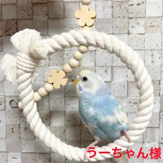 うーちゃん様♡ 安全で安心《お花の ぬくぬくブランコ》Sサイズ✩.*˚鳥ブランコ(鳥)