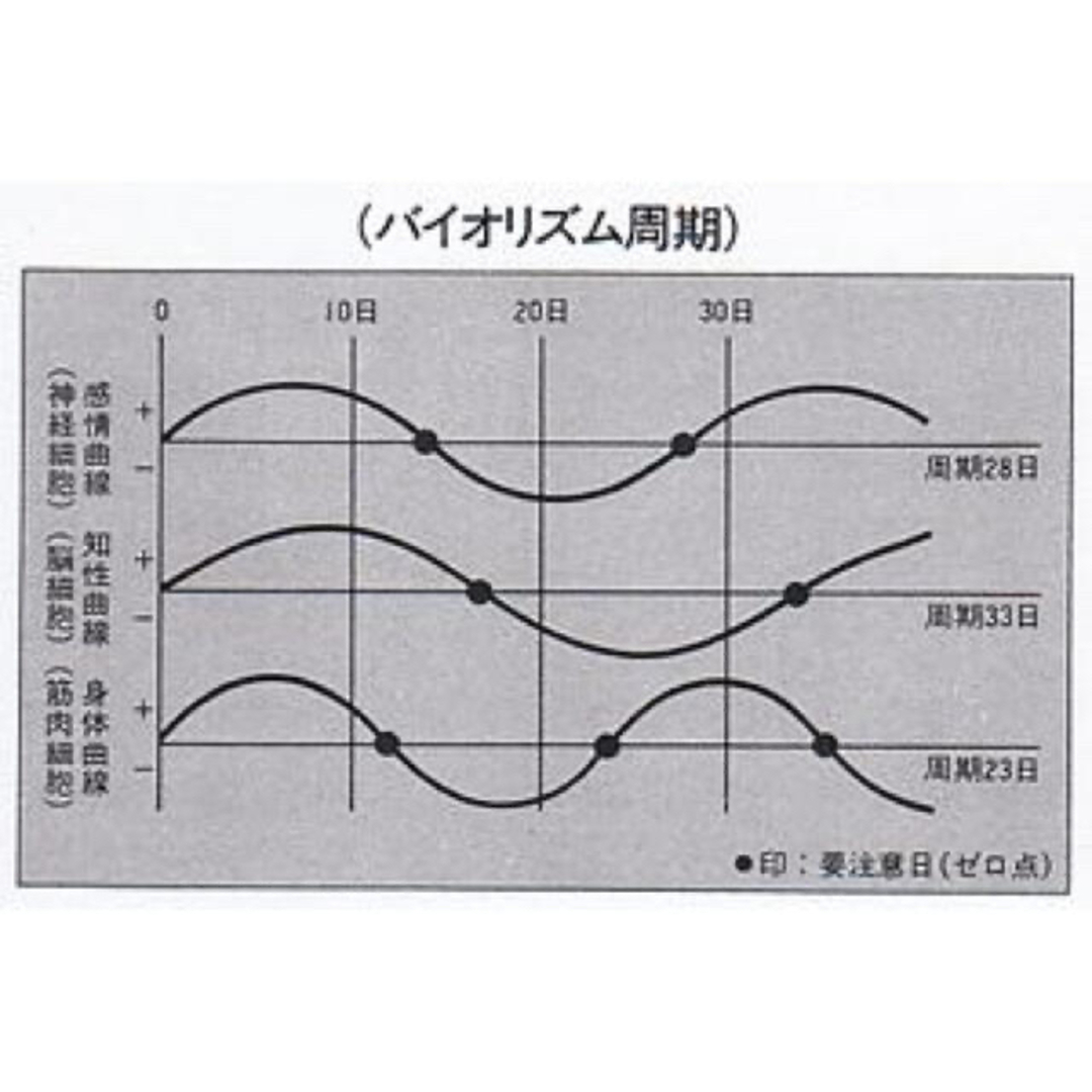 【入手困難！ラストチャンス！】政木式　バイオリズム計　工学博士　政木和三　占い 5